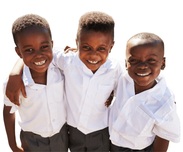 Arise CSF Impact